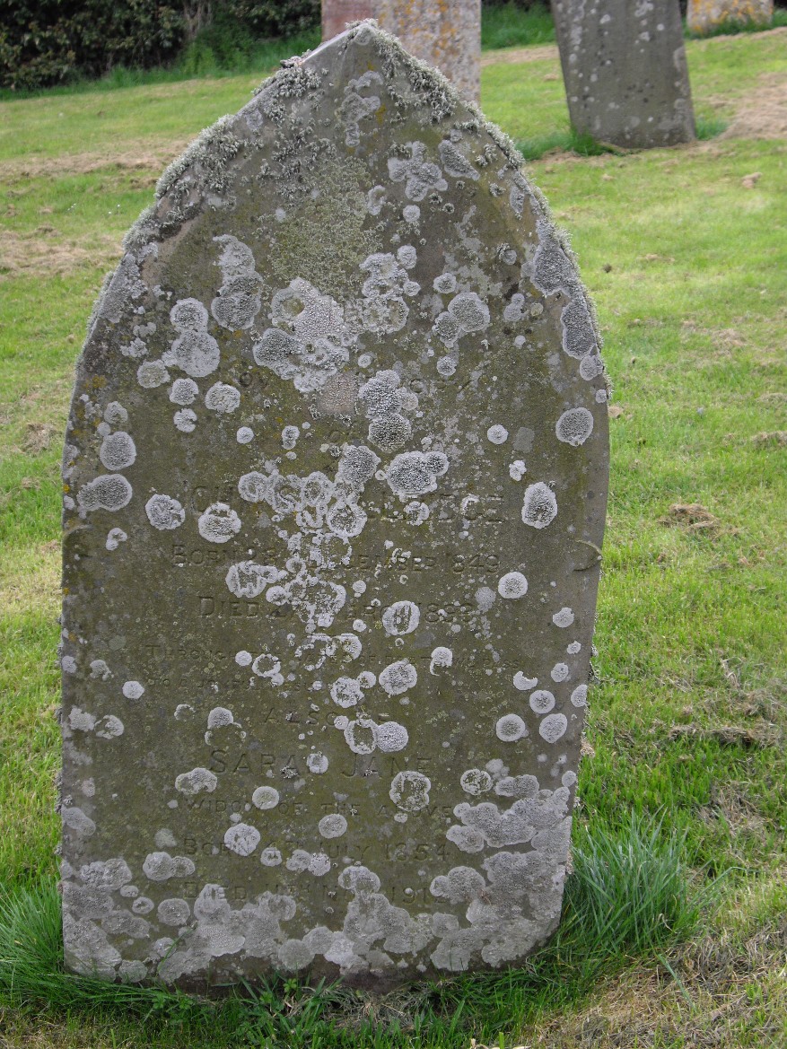 john smallridge grave